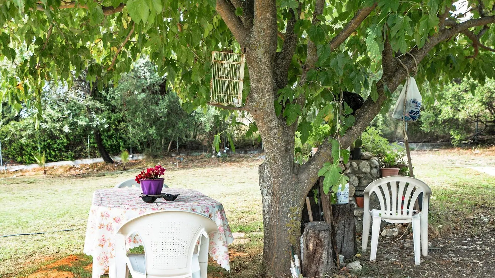 Efrosyni Apartment Markopoulo